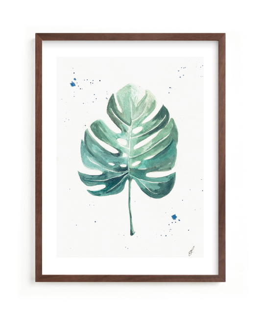 Poster Monstera